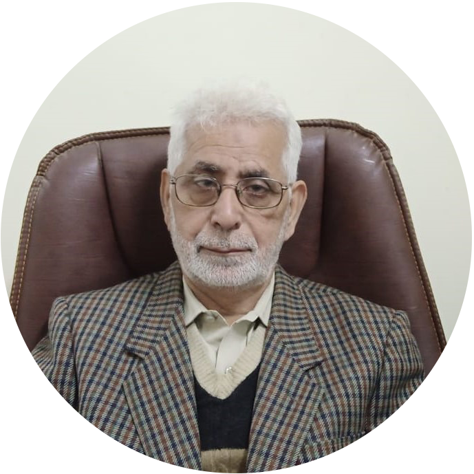 Hassan Raza Naqvi